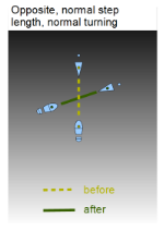 Tango Argentino | Simultan steg | Diagram
