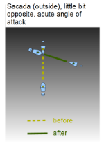 Tango Argentino | Simultan steg | Diagram