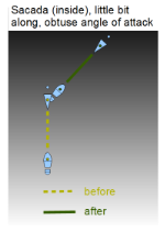 Tango Argentino | Simultan steg | Diagram