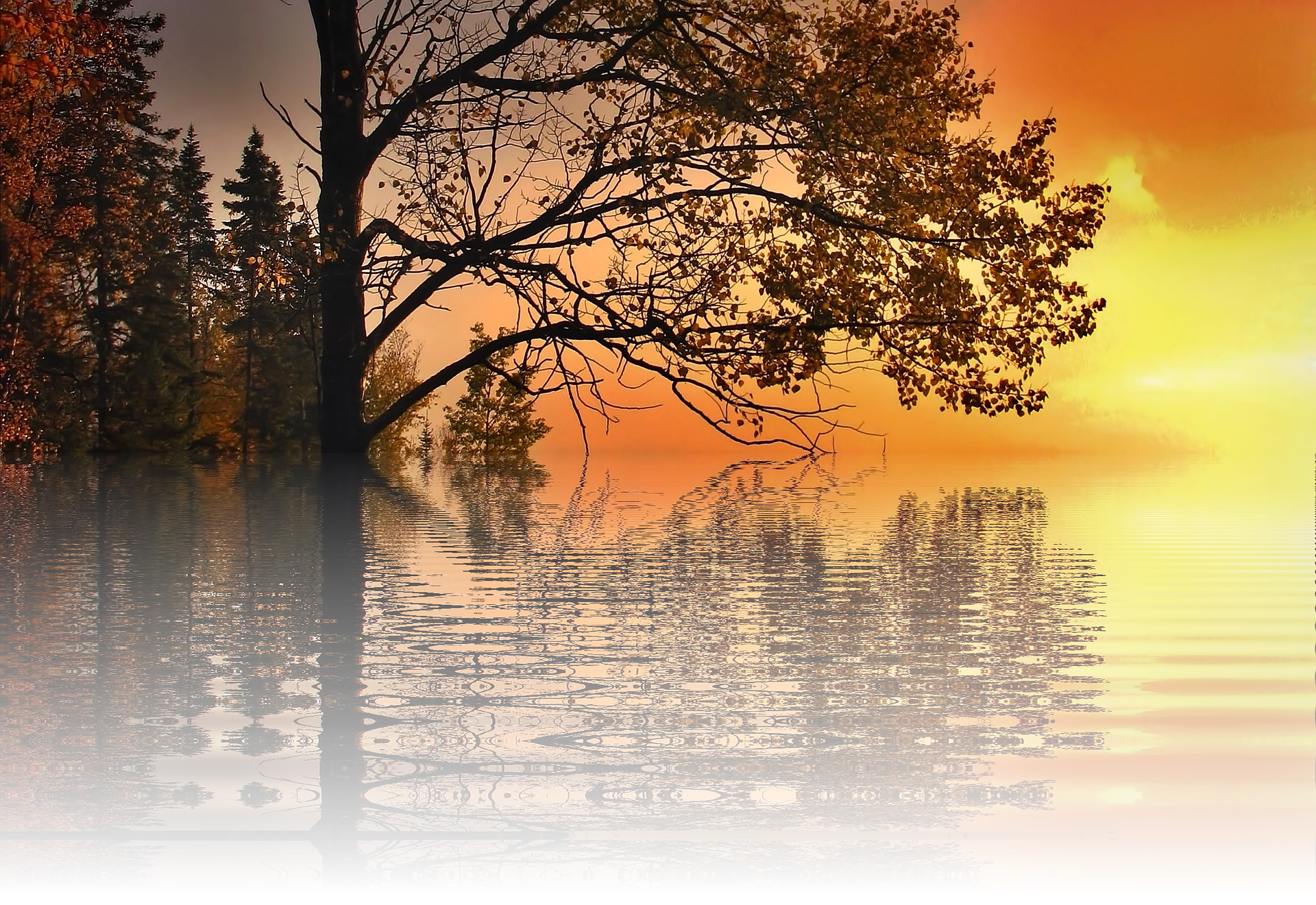 sunset-g2eeb114c0_1920