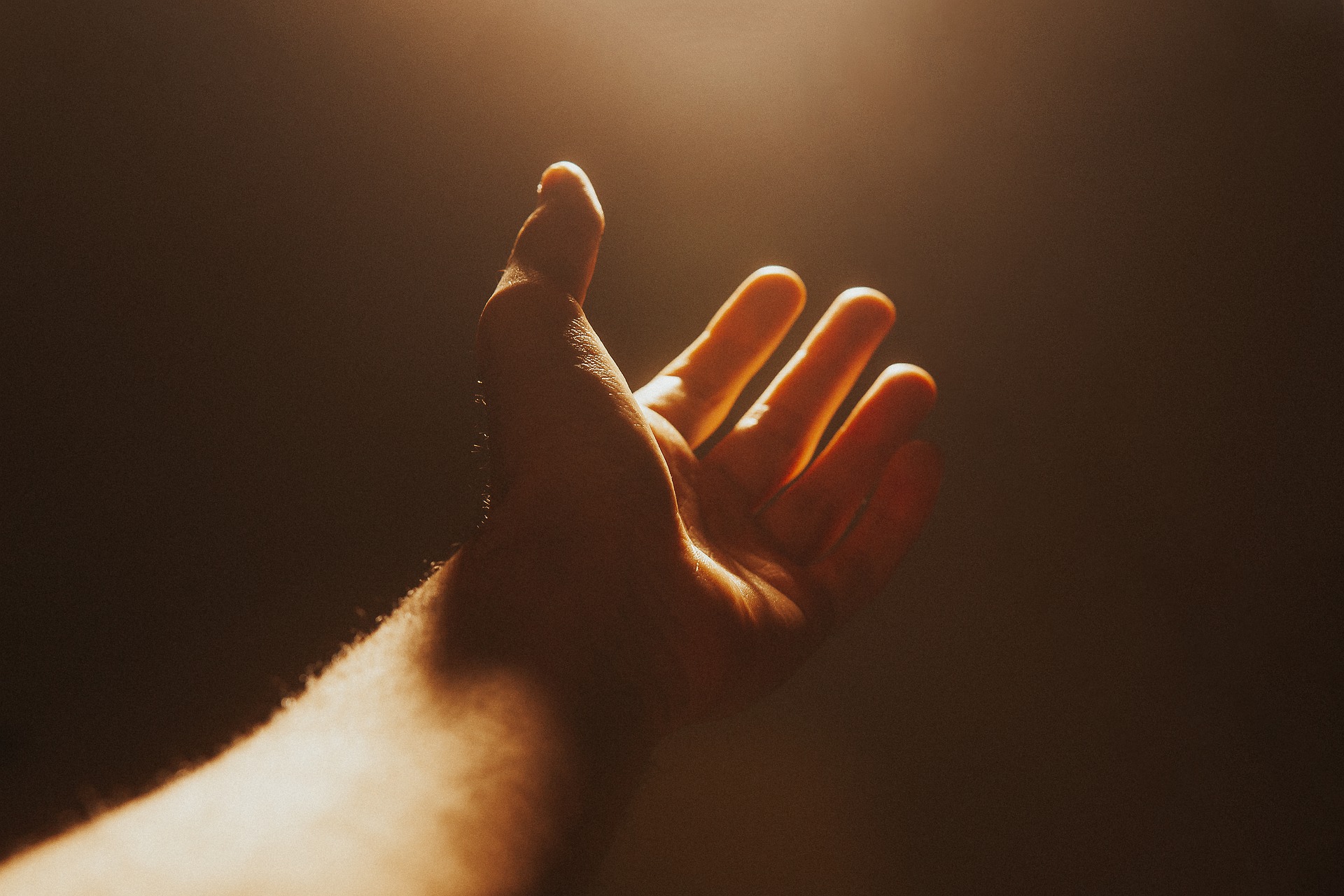 hand-g8e036bc45_1920