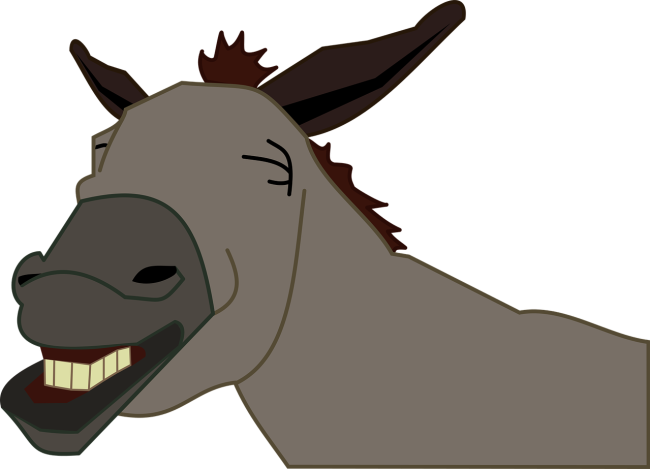 burro-g4524c434b_1280